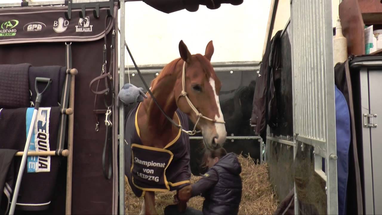 Une immersion dans les coulisses avec julie, la groom de penelope leprevost