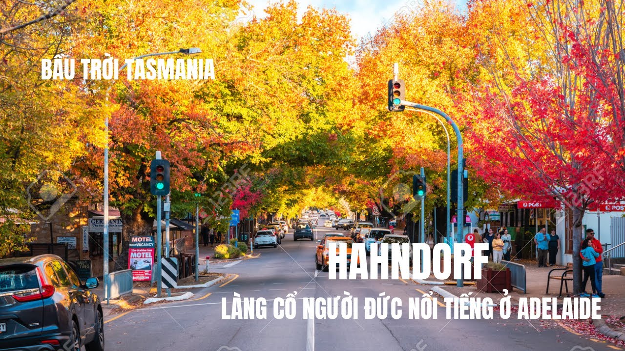 ĐẾN ADELAIDE PHẢI GHÉ CHỖ NÀY