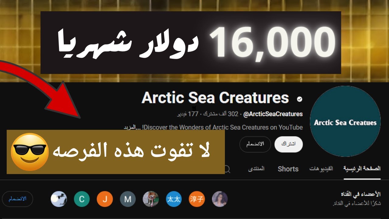 كيفيه ربح 16000 الف دولار شهريا من نسخ قنوات الاجانب