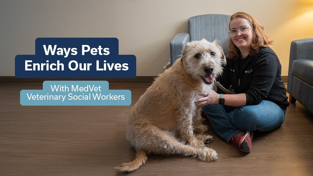 Ways Pets Enrich Our Lives | With MedVet Veterinary Social Workers