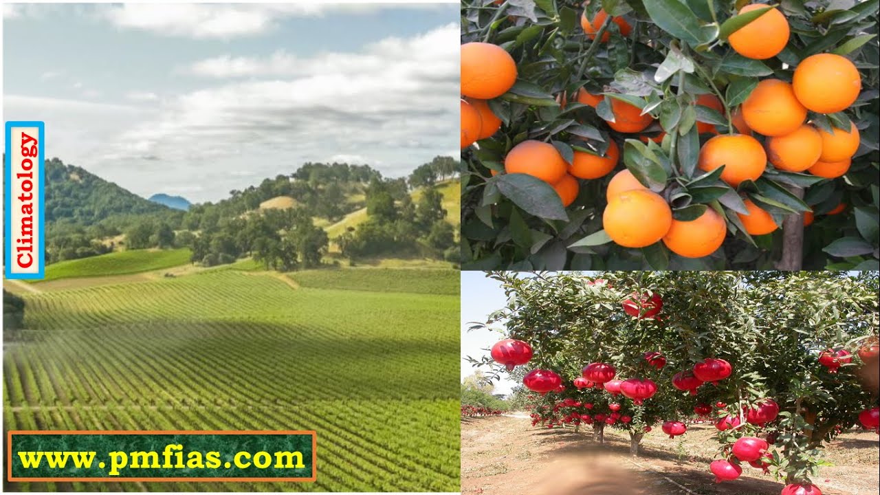C28-Mediterranean Climate | Warm Temperate West Coast Climate