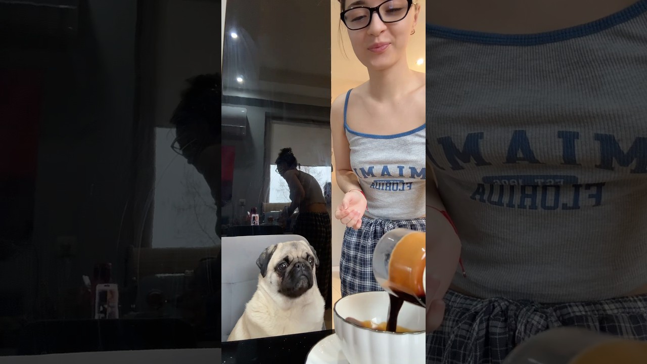 KAWA DLA PUGA ☕️| Pamiętajcie że pies kawki nie może! FILMIK W CELU HUMORYSTYCZNYM 👁️👄👁️ buzi