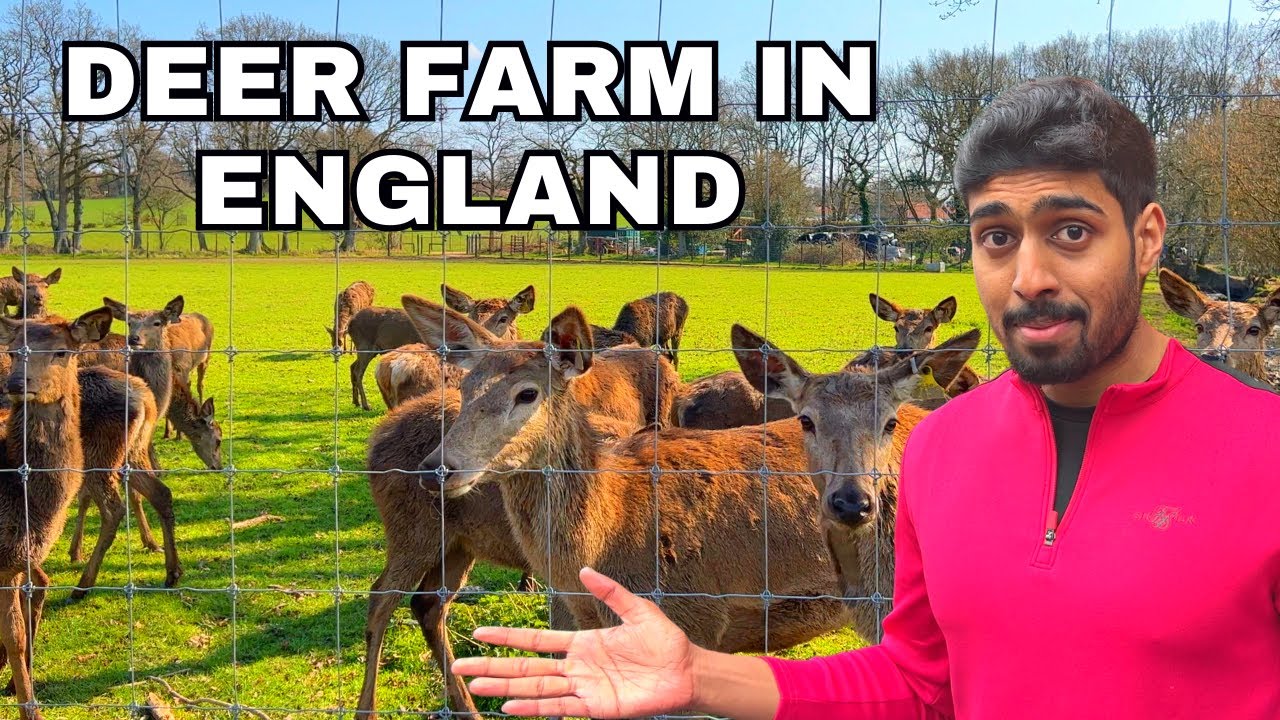 75 Acres Deer Farm in England