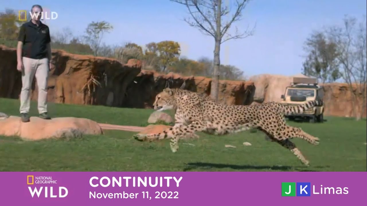 National Geographic Wild Asia continuity | November 11, 2022