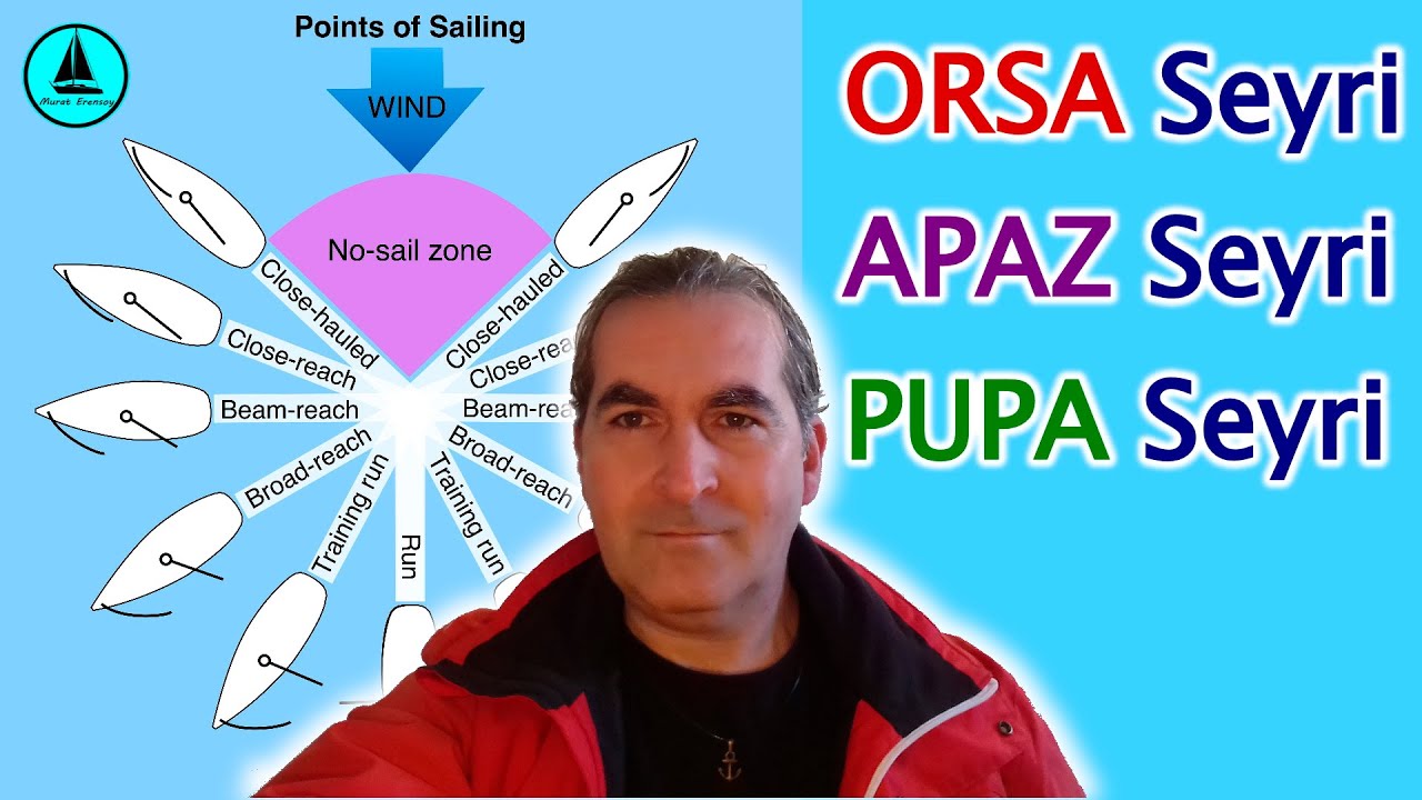 065 : Orsa / Apaz / Pupa