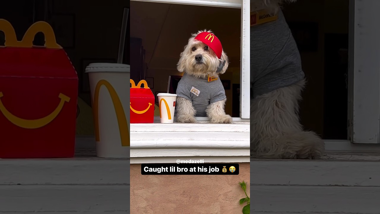 I Found Coco At His Day Job 😭