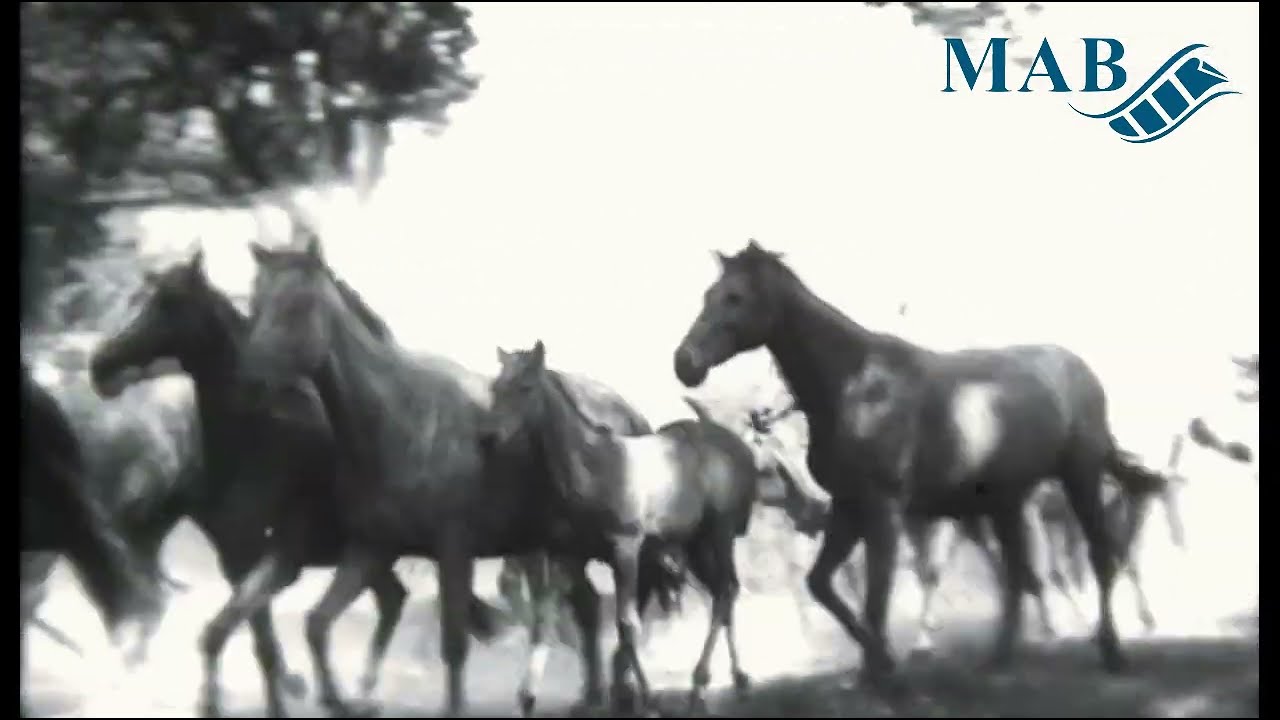 Ostpreussen - Land in der Stille