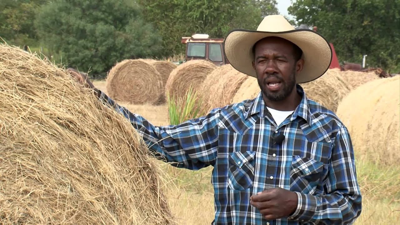 Rickie Roddy Lloyd Wright Small Farmer of the Year Video
