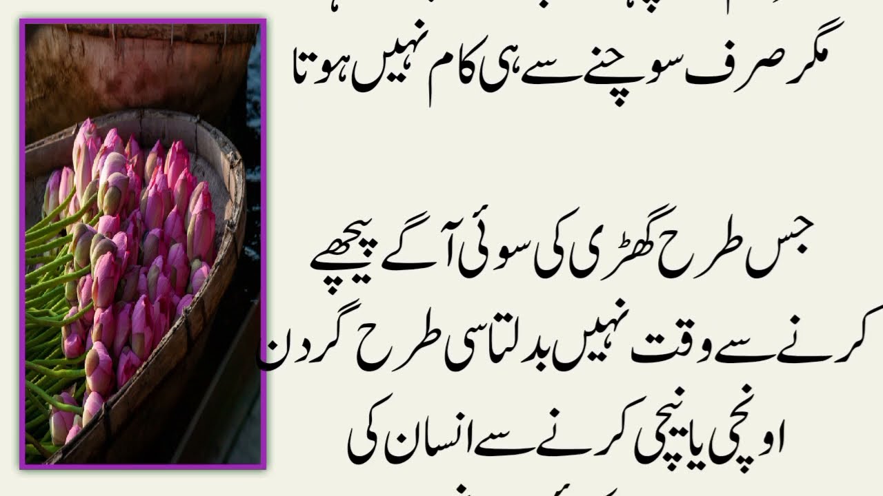 100 Powerful Tips & Golden Quotes | Best Urdu Quotes | Life Lessons || Urdu Motivation 