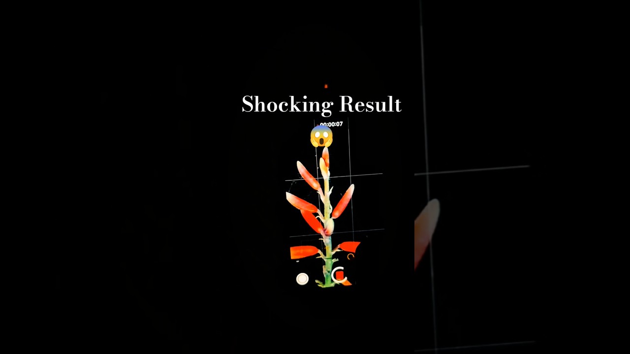 🍎iPhone Night Video Shocking Result 😱 