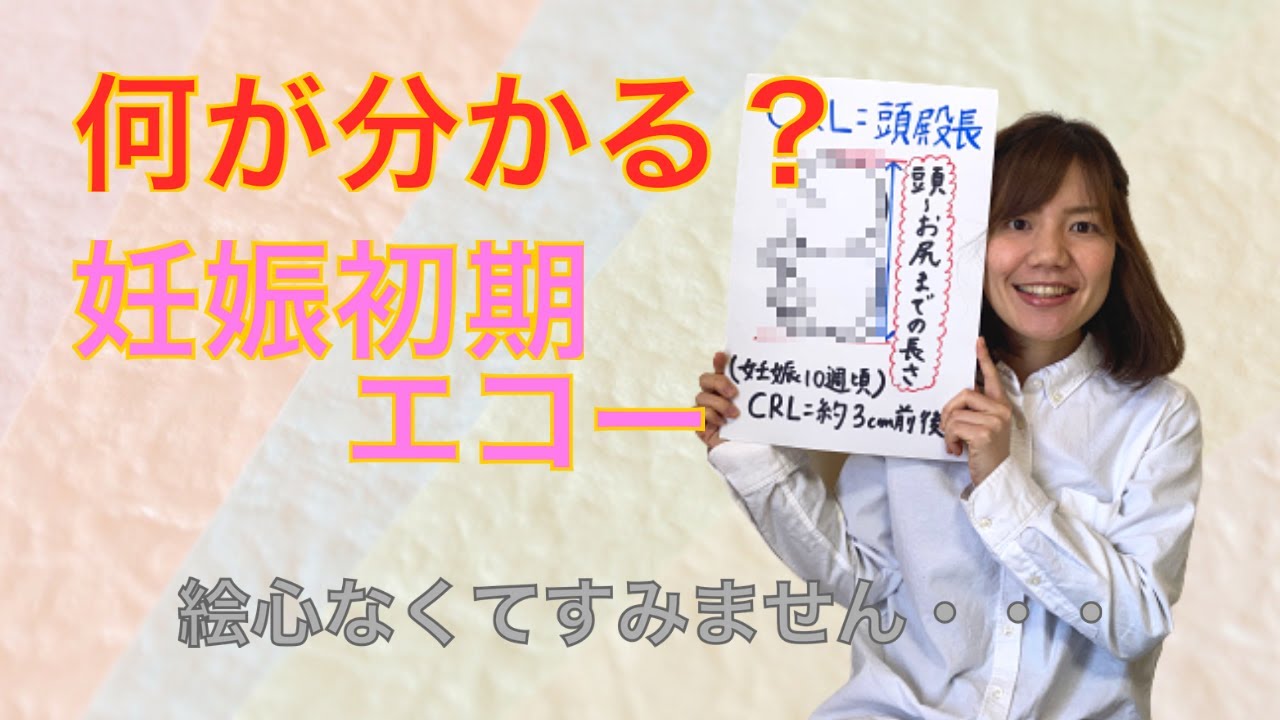 妊娠初期の超音波検査(エコー)では何がわかる？