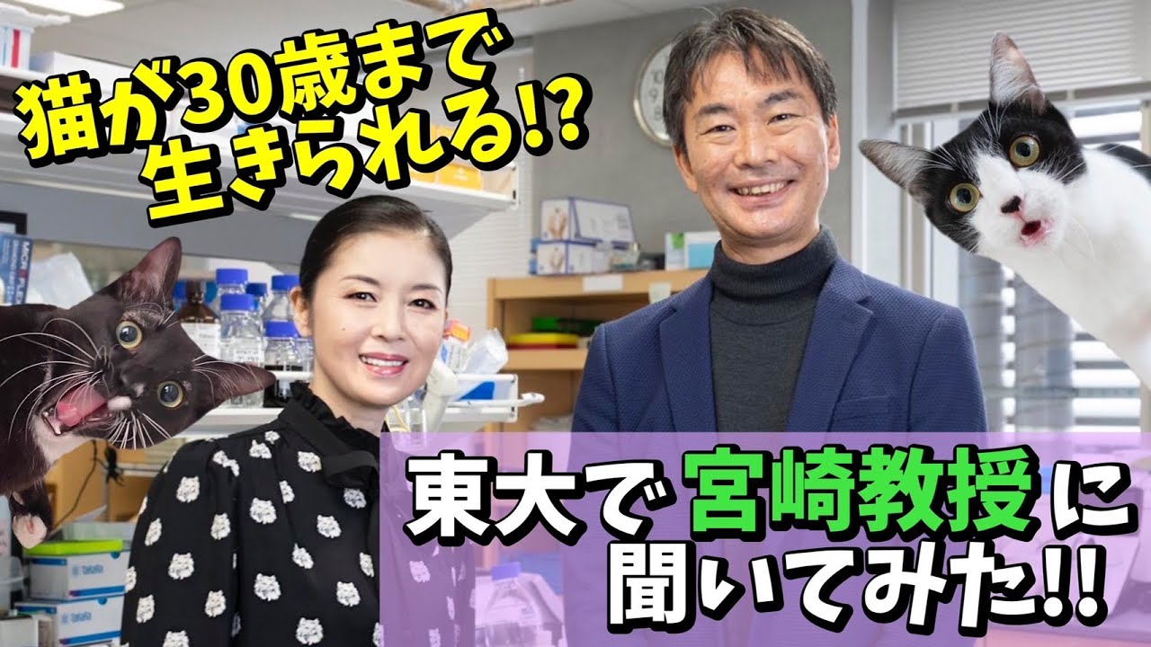 【スペシャル対談・前編】全愛猫家待望！！猫の腎臓病治療薬が完成間近！？