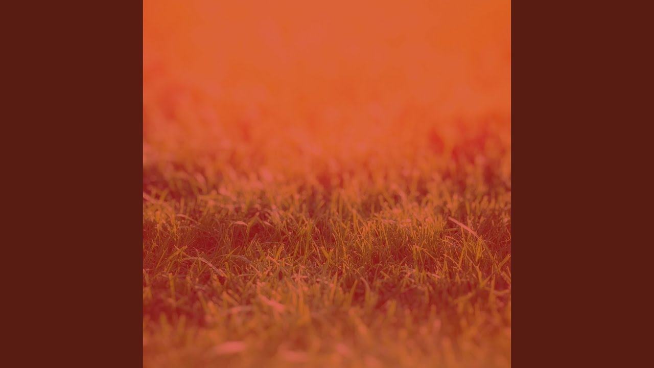 Subtle Backdrops for Calming Moments