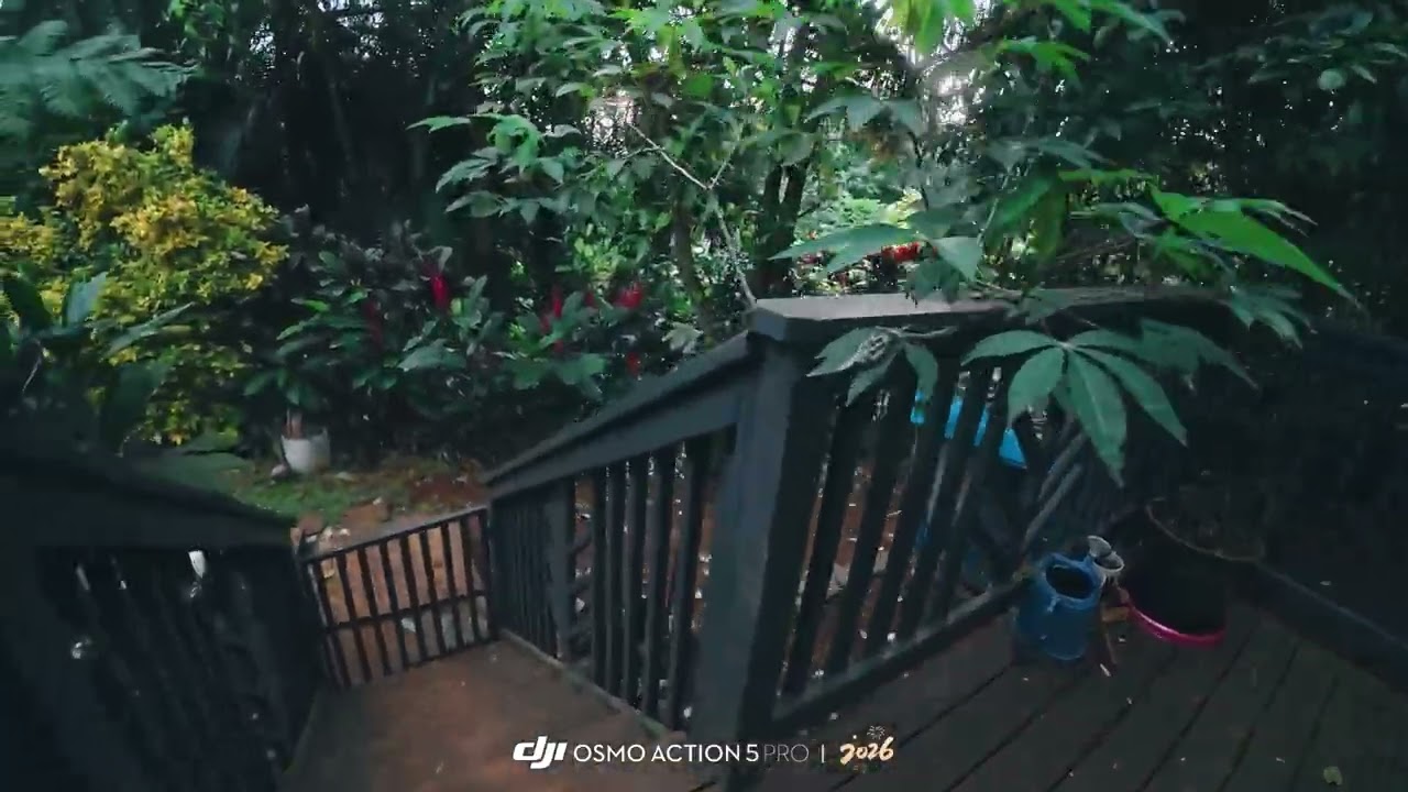 Good morning from Kauai, Hawaii. Soothing sounds of the birds, chickens and a waterfall pond.
