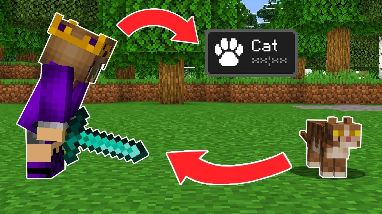 Minecraft, But You Can Obtain Mob Effects…