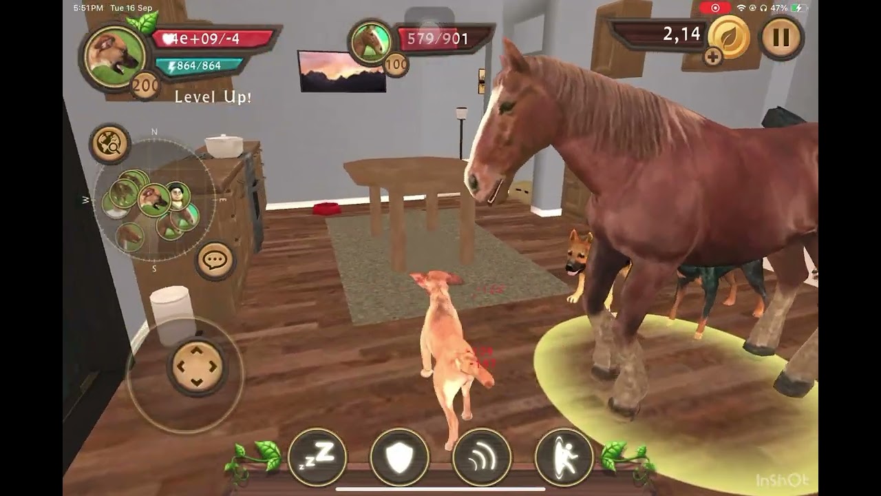 Dog sim challenge 
