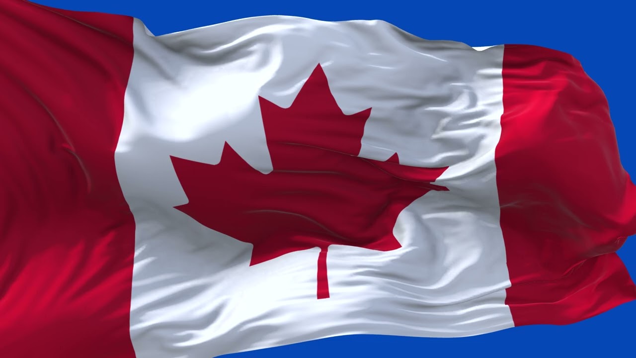🚩Canada Flag Waving  | GREEN SCREEN & CHROMA MATTE🚩