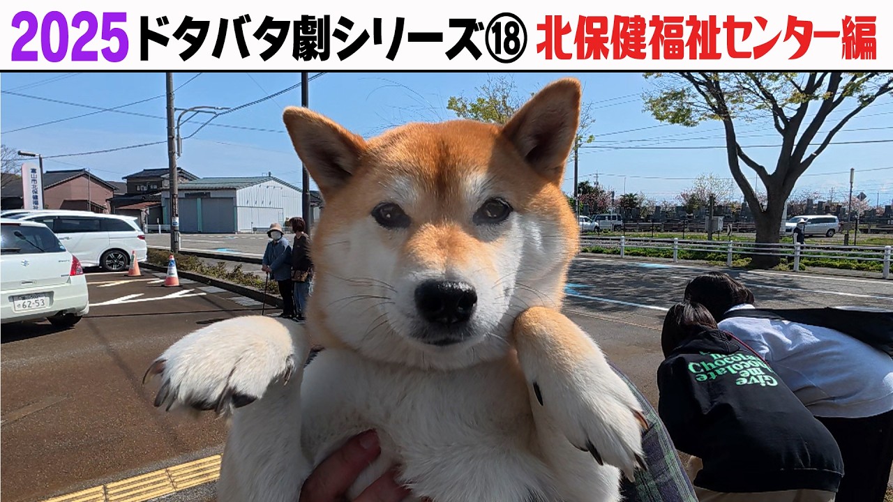 2025狂犬病予防注射会場のドタバタ劇⑱ 北保健福祉センター編