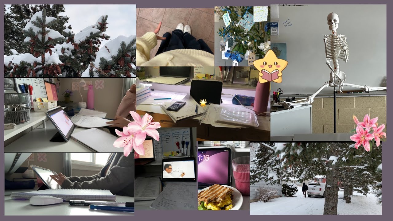 Senior diaries 🎓 || اسبوع الامتحانات …
