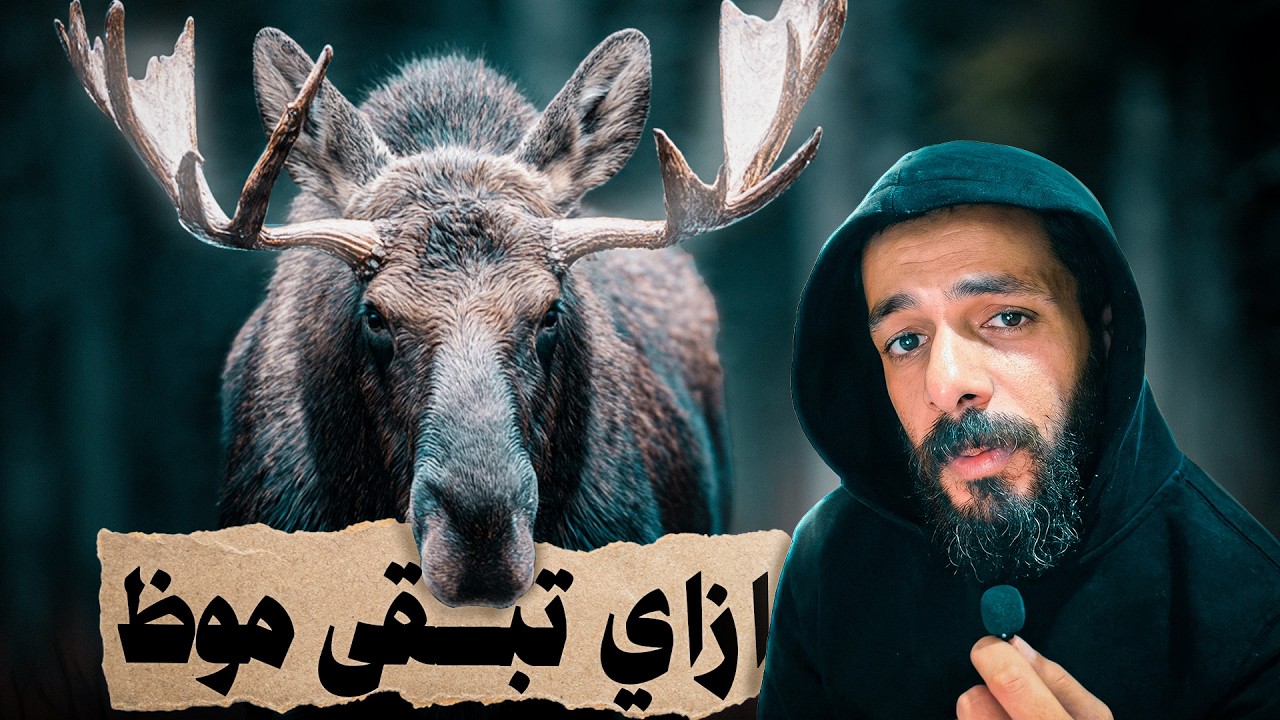 الحياة من وجهة نظر الموظ