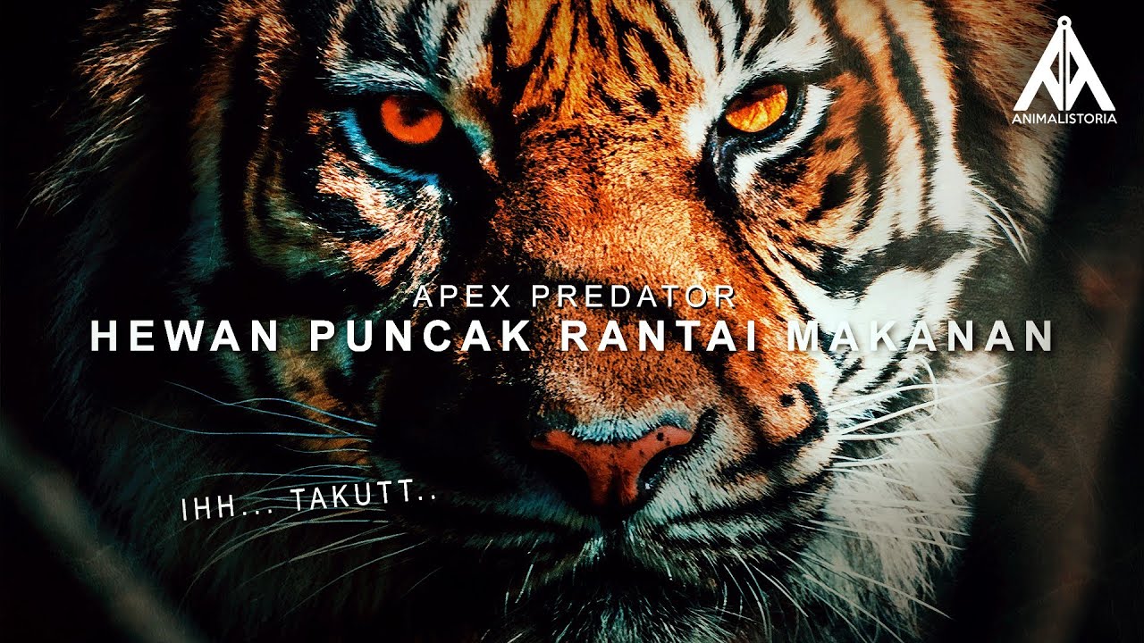 7 Hewan Pemegang Puncak Rantai Makanan / Apex Predator