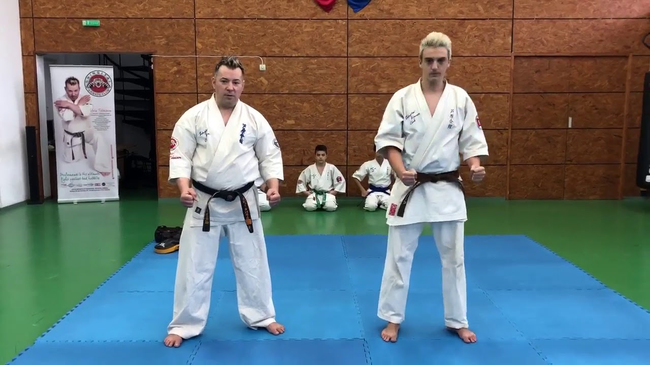 Ashihara Karate-Sensei Liviu Tabacaru si 