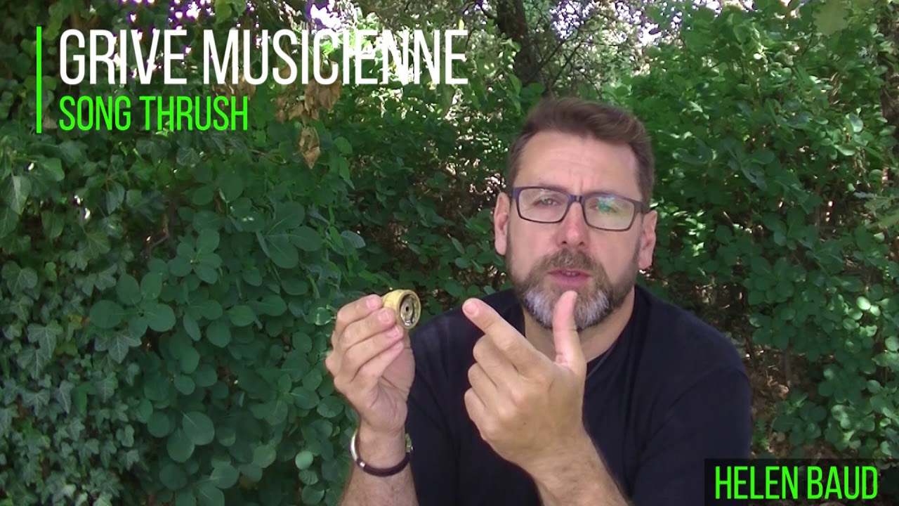 APPEAUX GRIVE MUSICIENNE