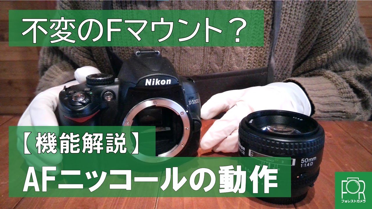 ニコンのボディ内AFモーターについて解説【D3000番台,D5000番台ボディ使用者必見】