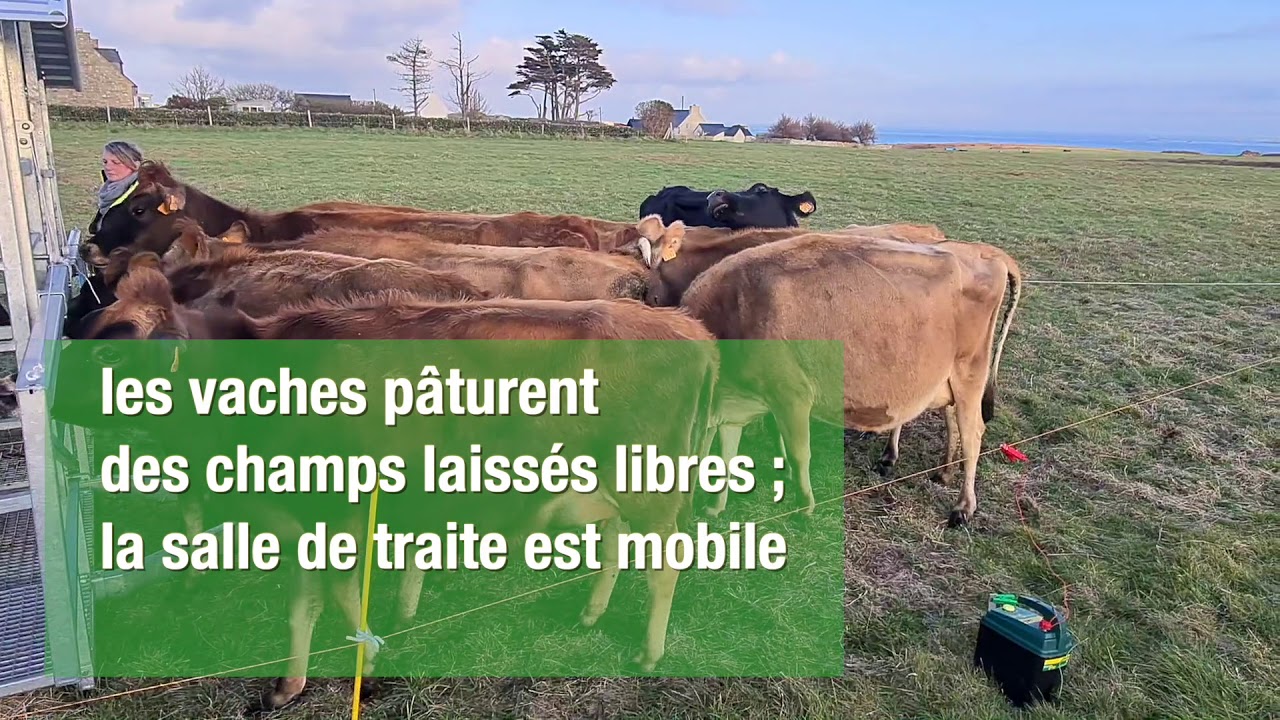 2 jours à Ouessant, ce territoire exemplaire