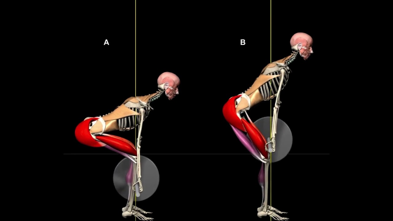 Stacchi da terra o deadlift