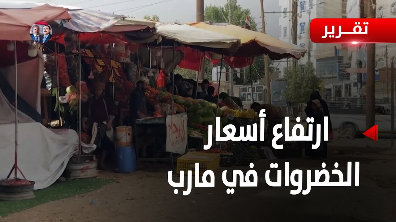 مارب | أسعار الخضروات تشهد ارتفاعاً غير مسبوق - تقرير: عبدالعالم دحلان
