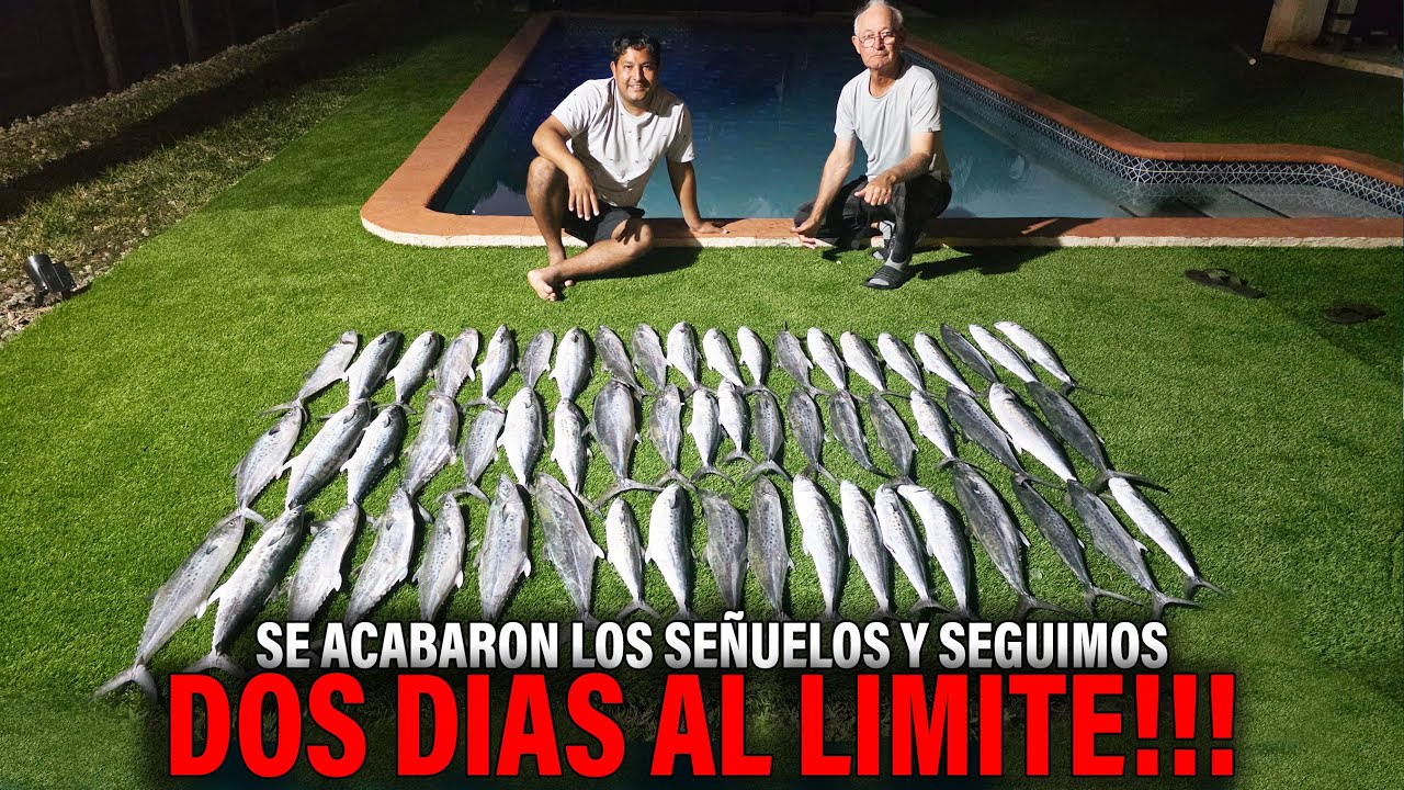 Que Locura 🔥 Nos quedamos sin senuelos y la pesca continuo 🎣🔥 Macarela 2025