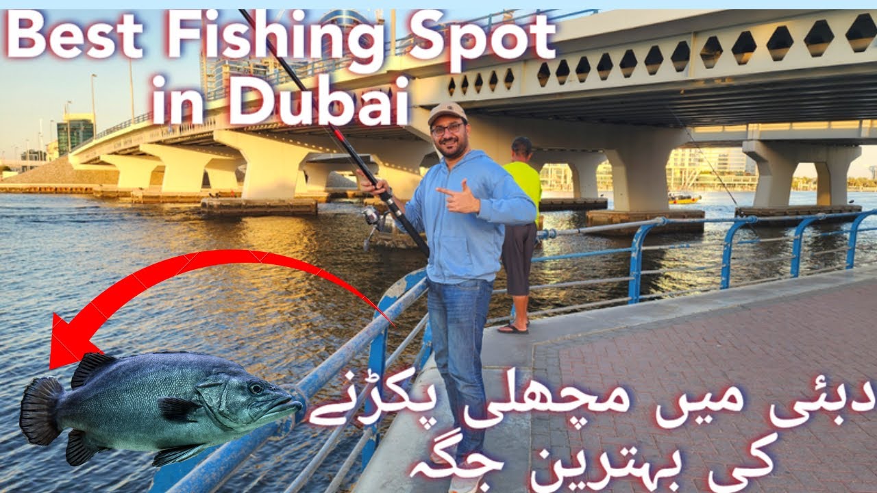 Al Maktoum Bridge Fishing | Best Fishing place in Dubai | مچھلی پکڑنا اب بہت آسان ہے۔