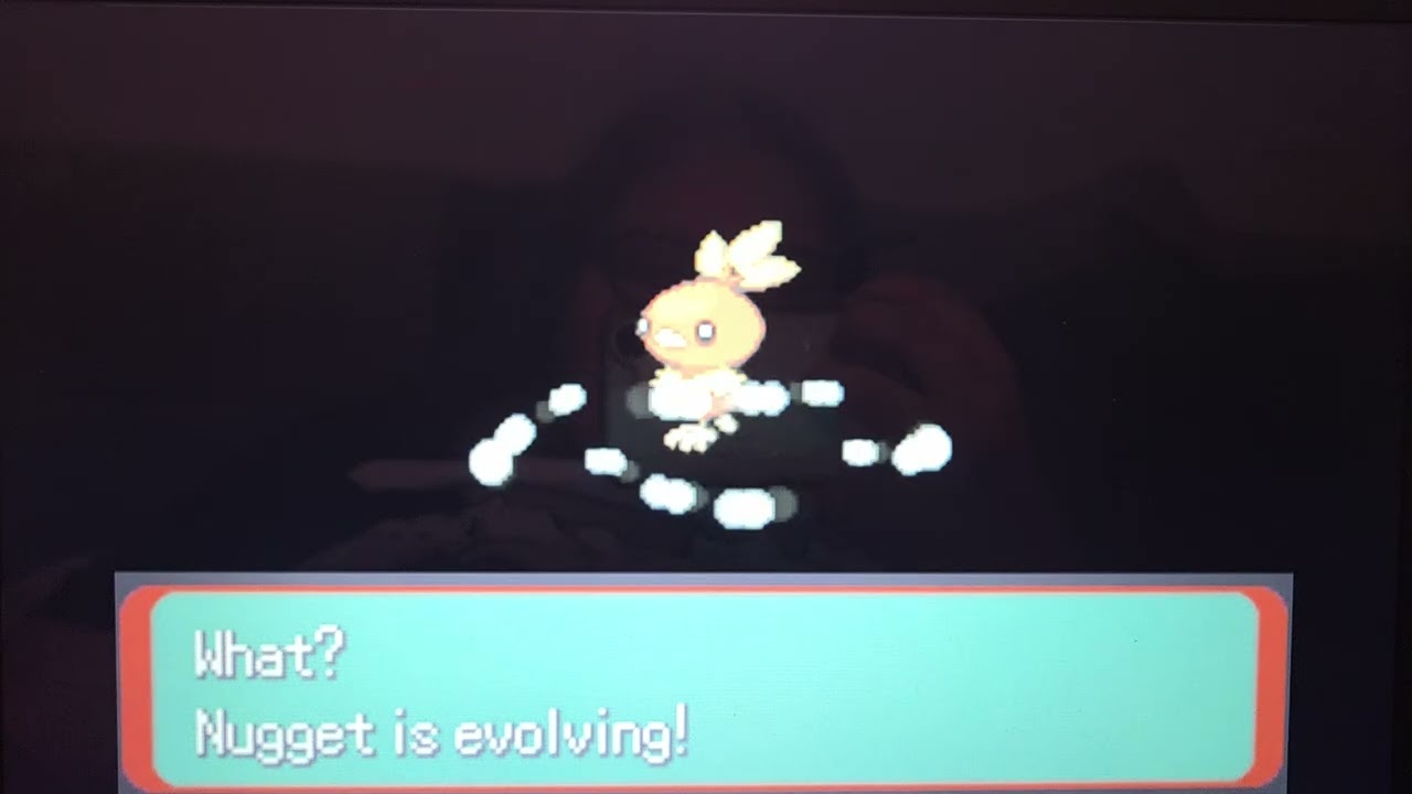 THE NUGGET EVOLVES