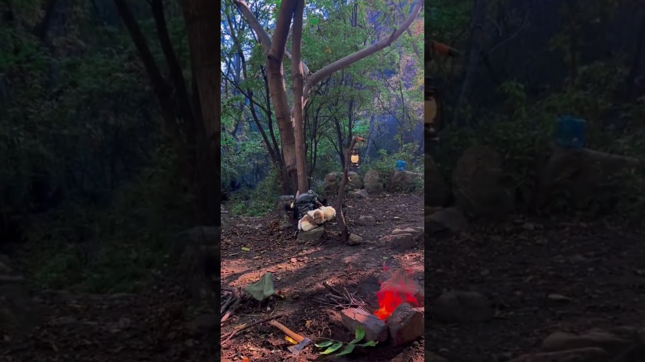 Восстановление сил , расслабься #recreation #calmmusic #relaxing #востановление #война