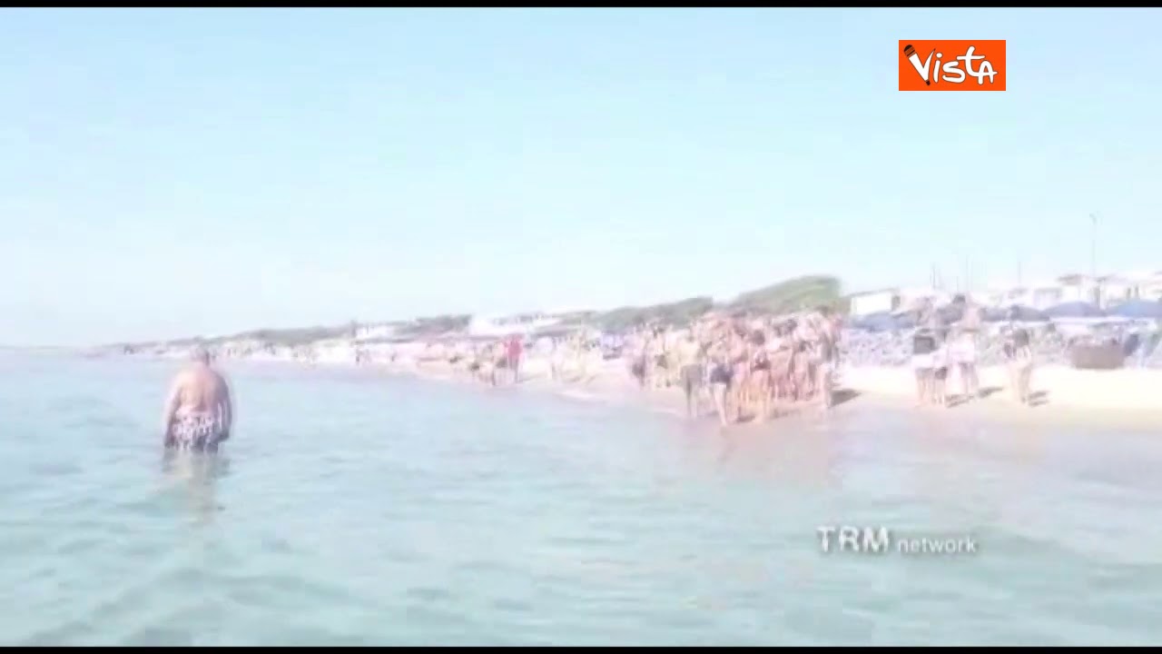Bagnanti avvistano uno squalo dalla spiaggia di Taranto