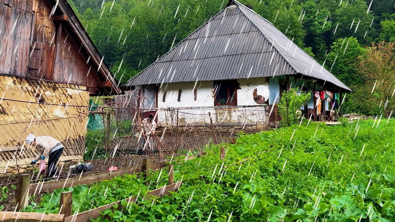 Love, Rain, and Fire Cooking – Our Life in Isolation