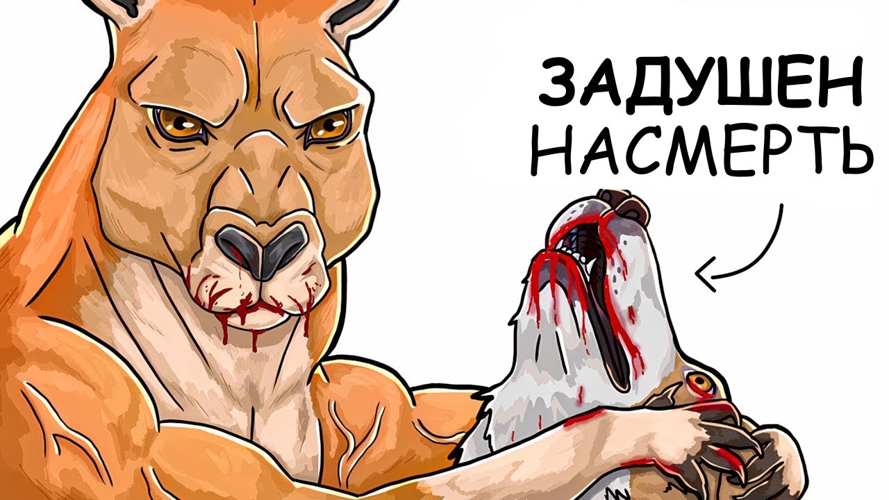 Ты – Кенгуру (И ЭТО ВСЯ ТВОЯ ЖИЗНЬ)