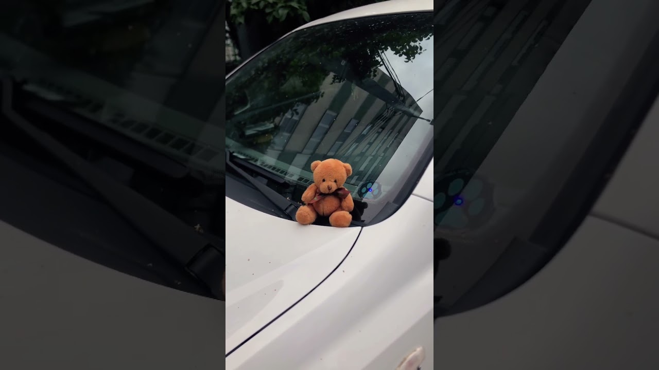 #shorts  #рекомендации  #лирика  #осень #fyp