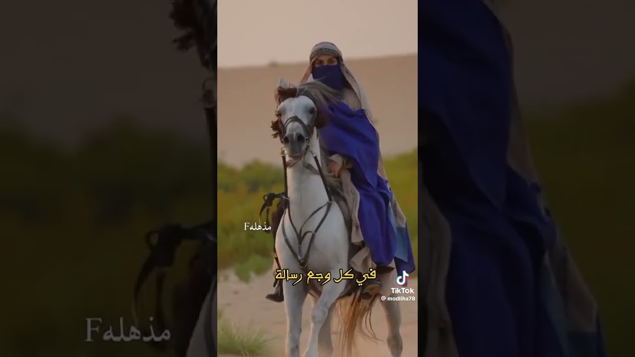 ٢٣ فبراير ٢٠٢٦