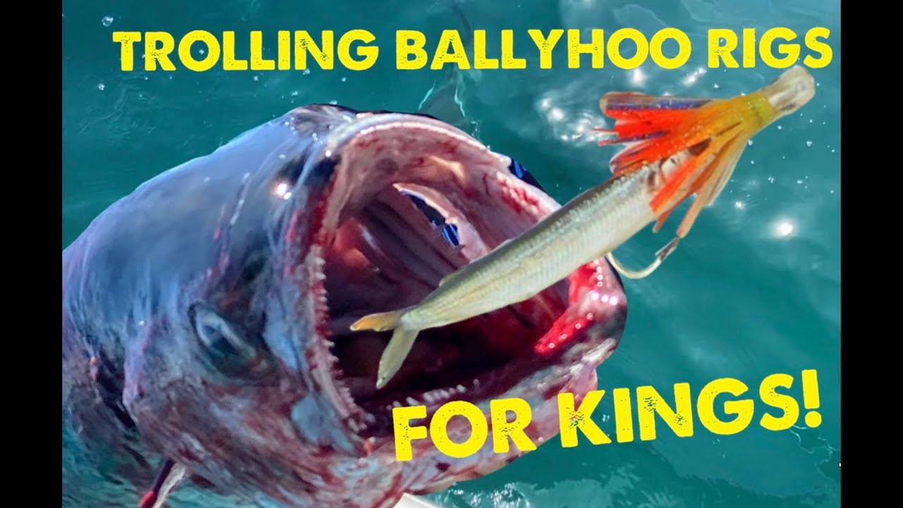 Trolling for kingfish using fathom ballyhoo rigs out of St. Petersburg, FL HOW TO
