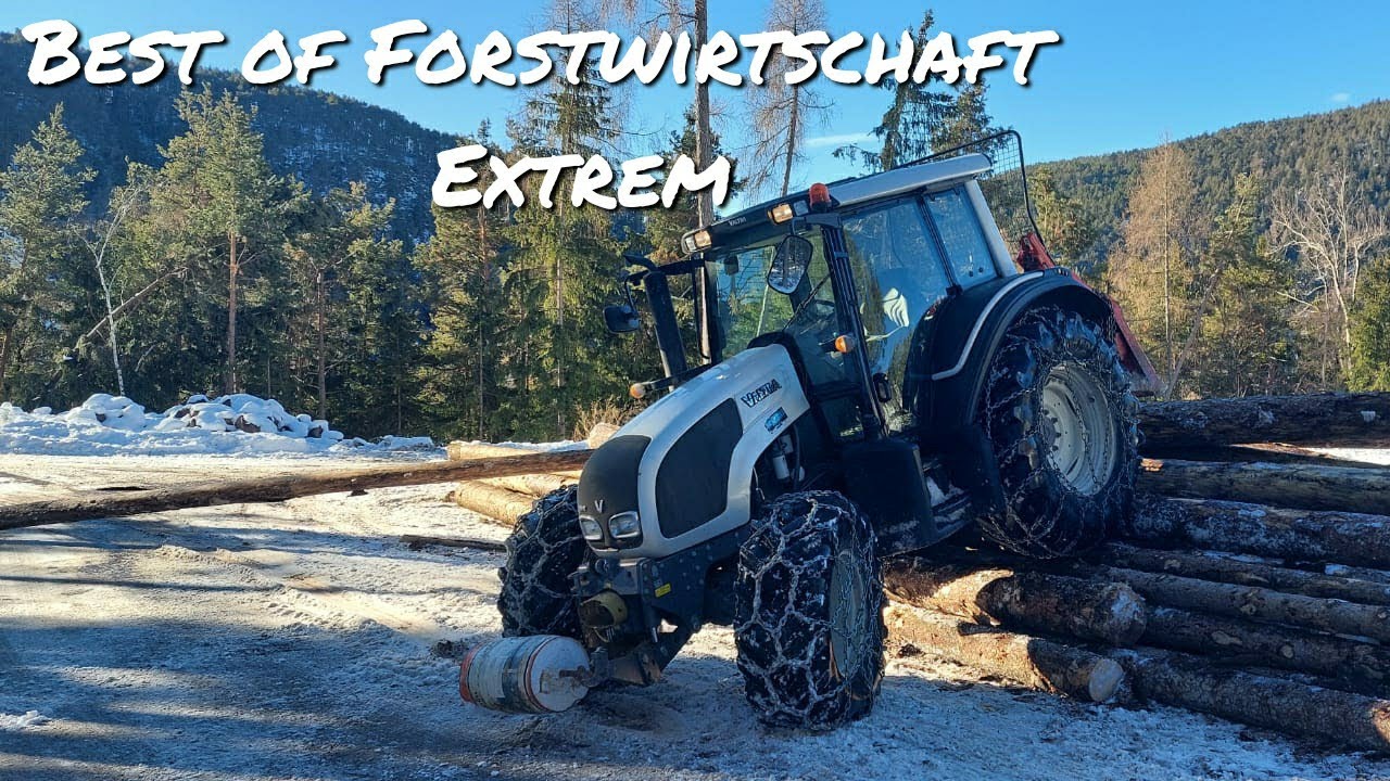 Jahresrückblick | 2020/21 | Best of 🌲Holzarbeiten Extrem🌲