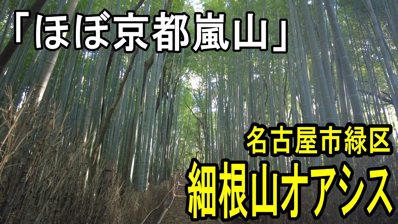 ほぼ京都嵐山【細根山オアシス】（名古屋市緑区）/細根天満社/菅原道真受験合格祈願/おみくじ