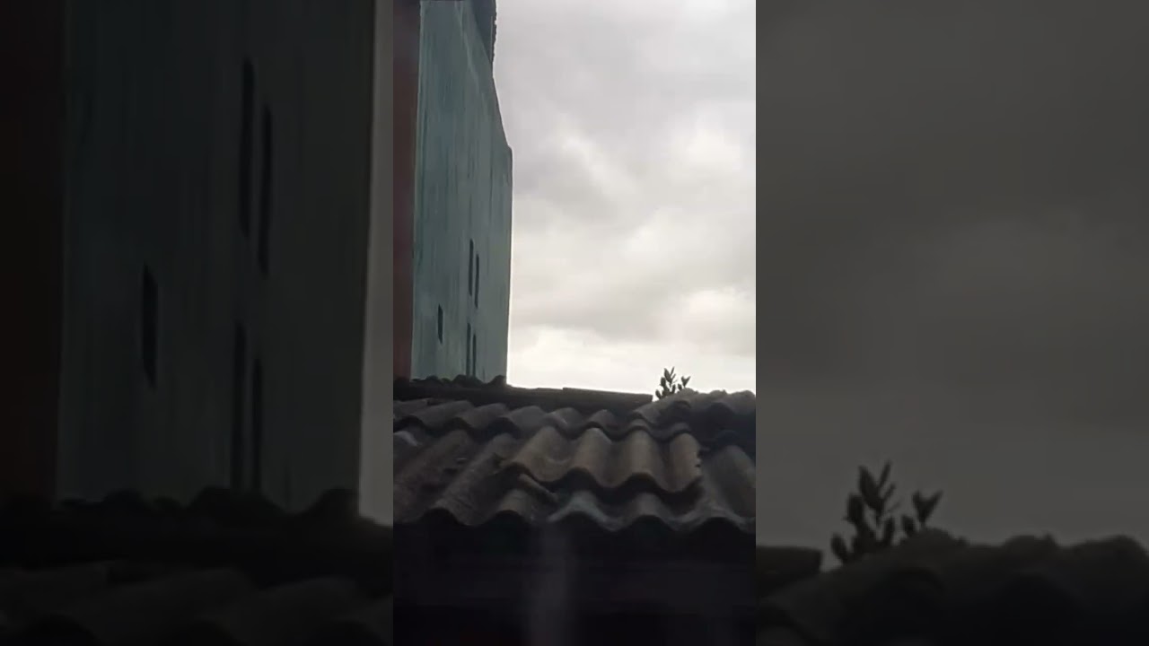 wallcloud? 