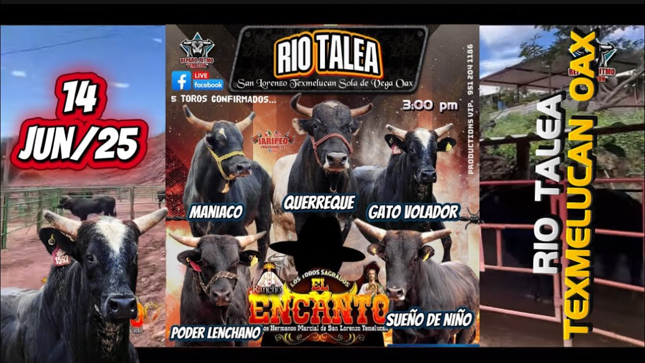 VAYA AGARRÓN SE LLEVÓ EN RIO TALEA TEXMELUCAN OAXACA con Rancho El Encanto Los toros Sagrados 🤠🐮🇲🇽🇺🇸