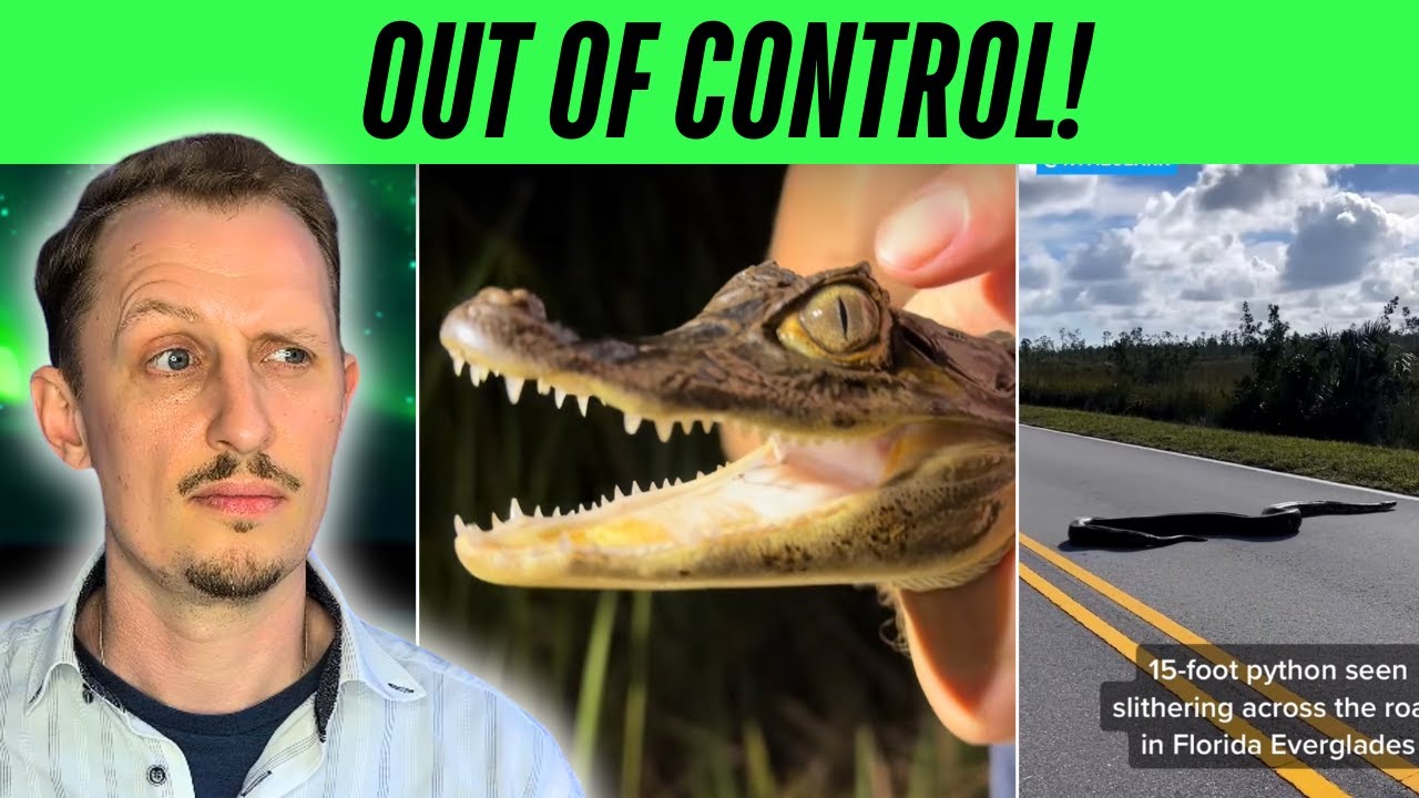 The Florida Reptile Situation Is Worse Than People Realise