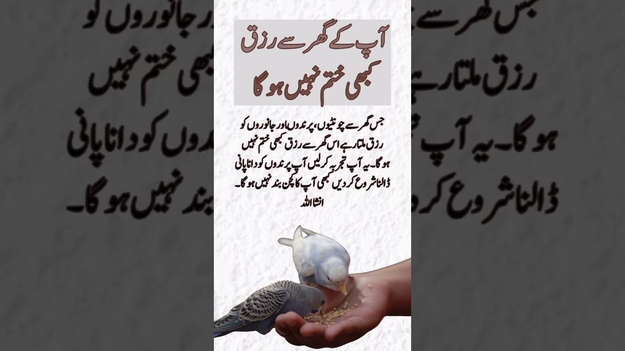 Rizaq ka wazifa|Islamic|wazifa 🕋❤️#shorts #shortvideo #ytshorts #islamicwazaif204
