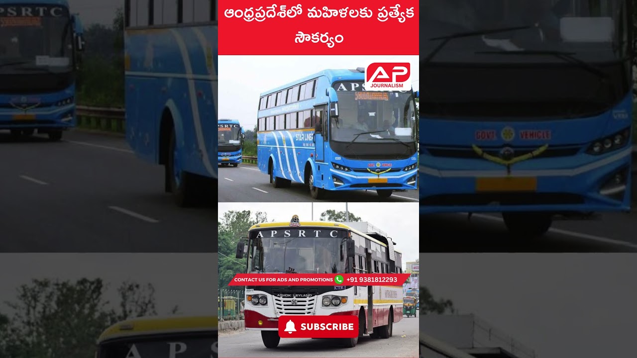 Free Bus Travel for Women in Andhra Pradesh | Full Details Explained 🚍 #AndhraPradesh #FreeBusTravel