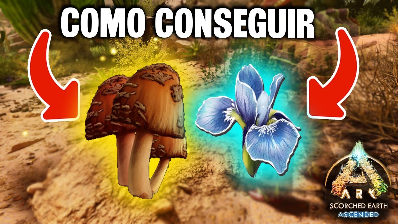 COMO CONSEGUIR FLOR RARA E COGUMELO RARO EM ARK: SCORCHED EARTH!