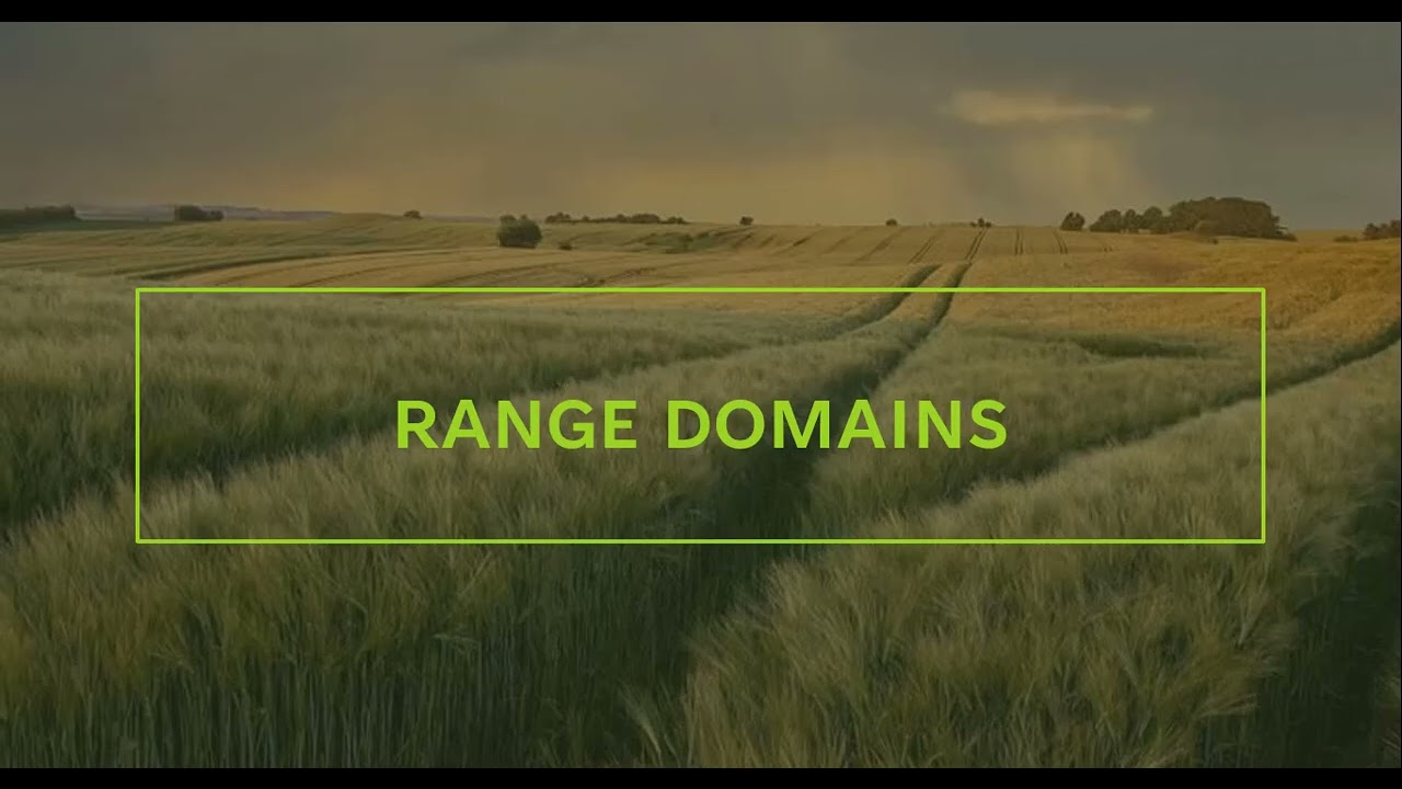 Lectures on Domains and Subtypes
